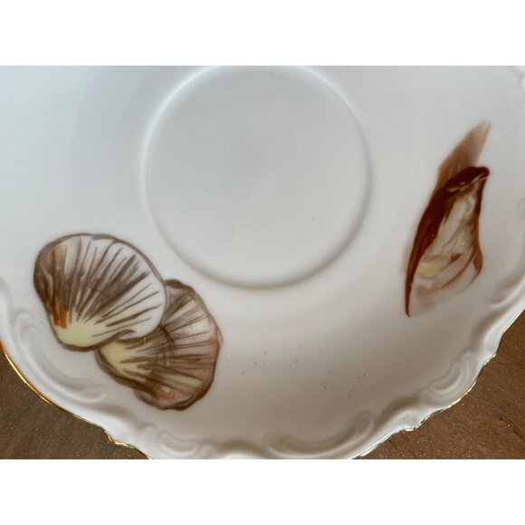 Cup Saucer Western Germany Sea Shore Shells Made in OTCO Bavaria West Germany - Picture 7 of 9